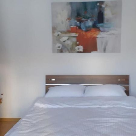 Urban Chic Apartment Orăştie Εξωτερικό φωτογραφία