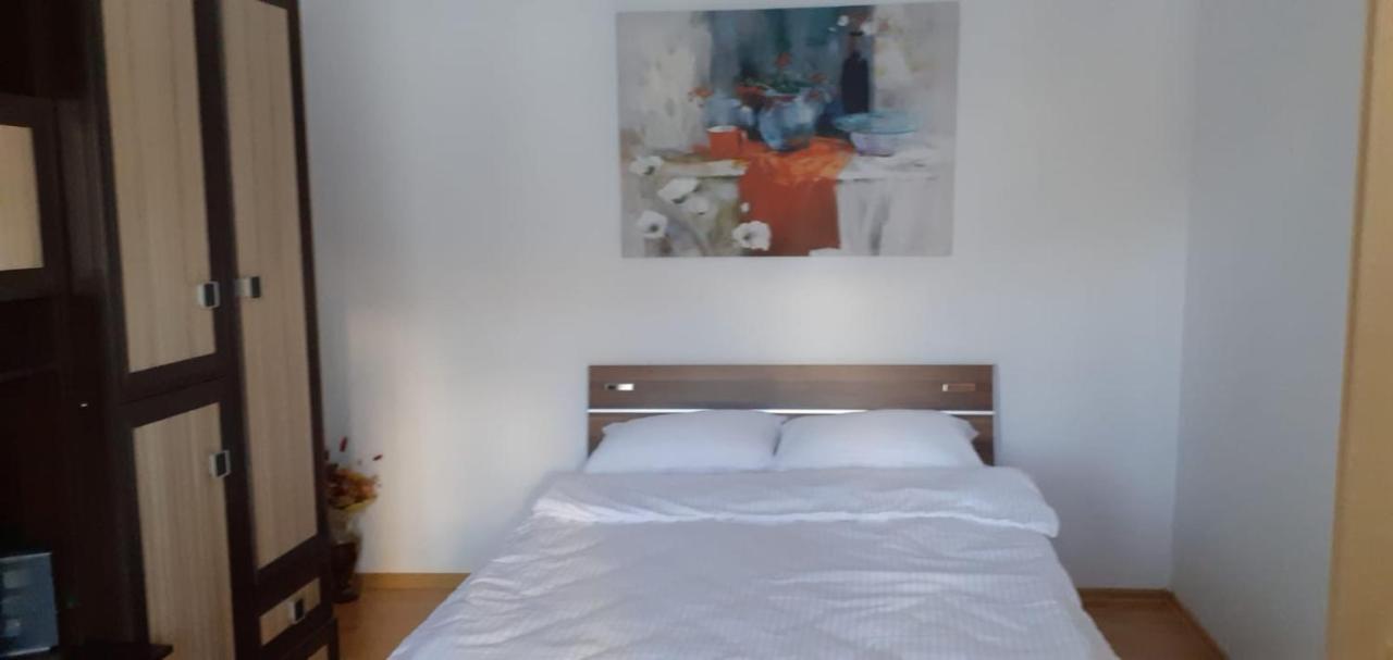 Urban Chic Apartment Orăştie Εξωτερικό φωτογραφία