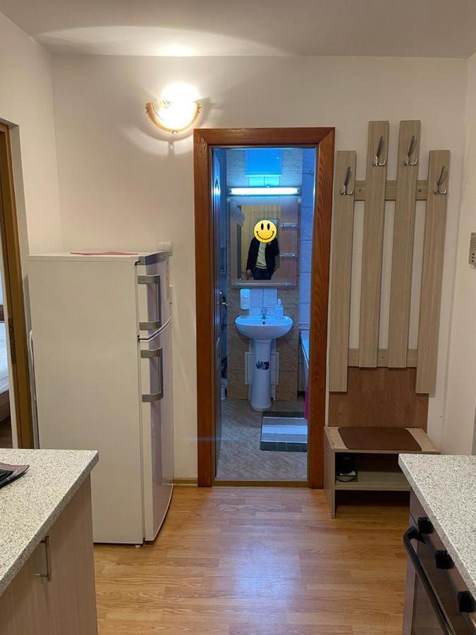 Urban Chic Apartment Orăştie Εξωτερικό φωτογραφία